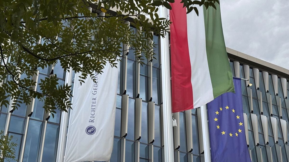Akvizícióra készül a Richter, de saját készítményük piaci áttörése is a küszöbön áll 