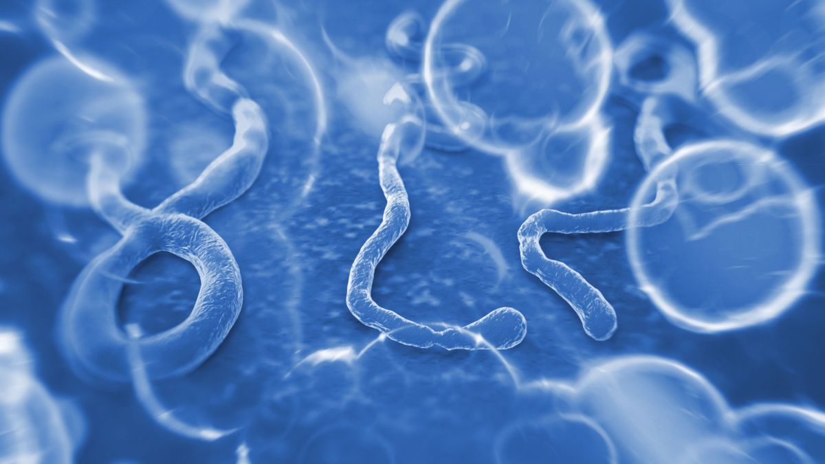 Most robbanhat be a halálos járvány: gyorsan terjed a kórokozó, de sztrájkba léptek az ebola elleni harc kulcsszereplői – három hónapja nem kaptak fizetést egy kormánydöntés miatt 