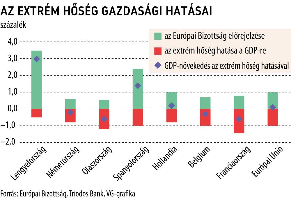 Az extrém hőség gazdasági hatásai
