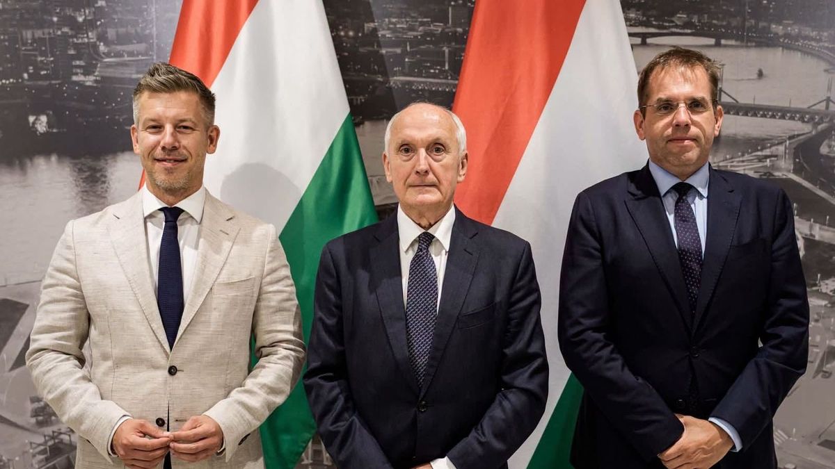 Kiderült, mit válaszolt a Tisza köztársaságielnök-jelöltje, miután Magyar Péter felkérte államfőnek 