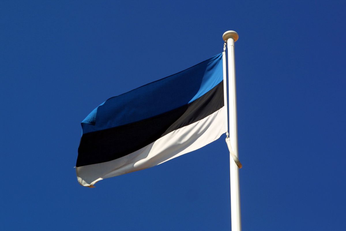 THE ESTONIAN FLAG észt észtország