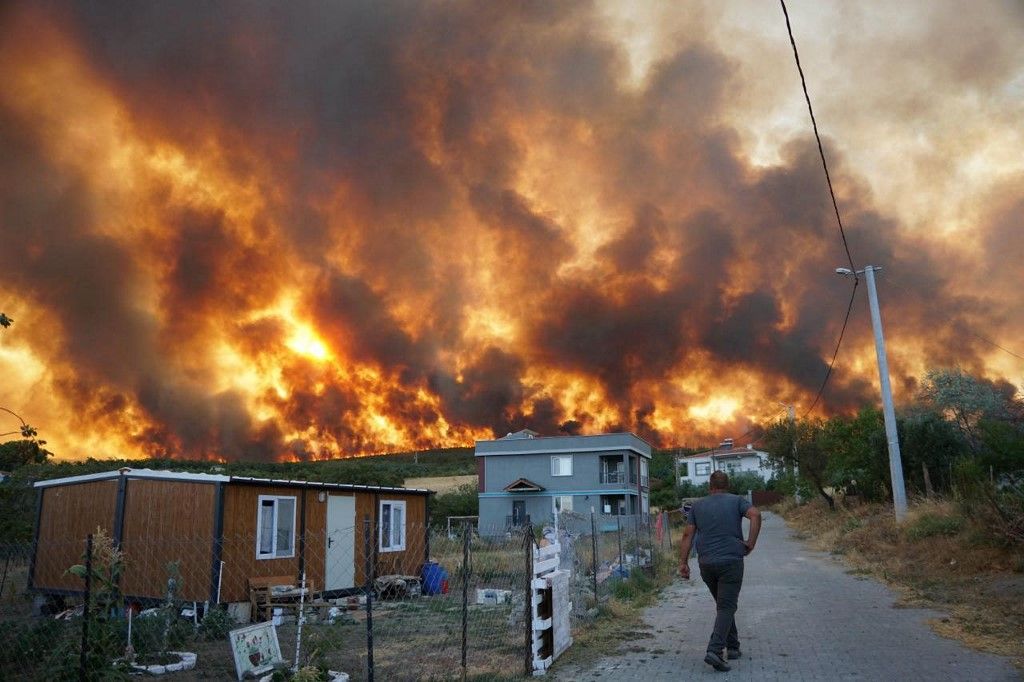 Stubble fire spreads to forest in Turkiye's Tekirdag