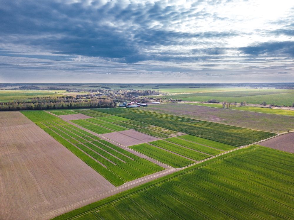 mezőgazdaság, fenntarthatóság, élelmiszer, egészséges élelmiszer