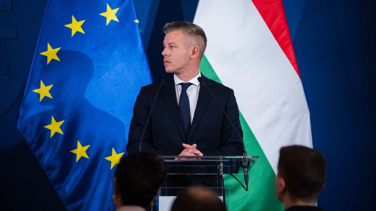 Óriásit tévedett Magyar Péter, amikor bejelentette Magyarországnak az áramkorlátozásokat? Darabokra szedte a szakértő – "Nem igaz, amit állít" 