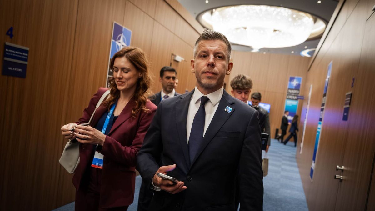 Magyar Péter szenzációs információt hozott ki a 12 órás kormányülésről: belegázolt a románokba, de Magyarország örülhet – "Fontos nap, fontos döntésekkel" 