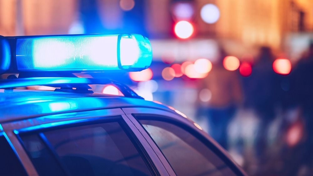 magyar bűnügy rendőrség
letartóztatás