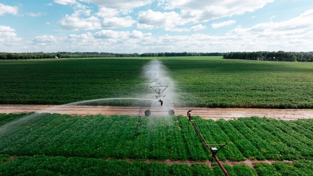 Európa,Irrigation,Pivot,Spraying,Water,On,A,Young,Cotton,Field