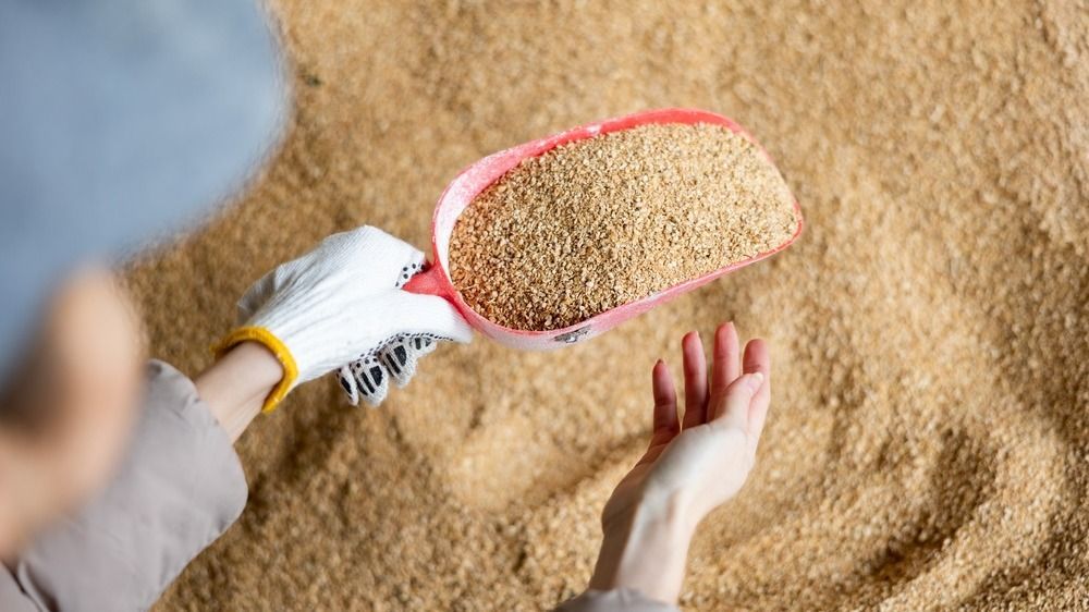 függőség,Closeup,Of,Red,Scoop,With,Grinded,Soy,Husk,In,Hands