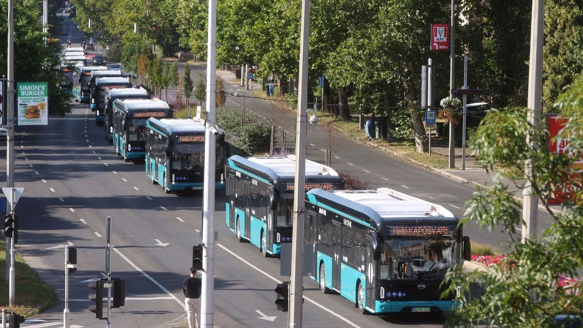 Kínai buszok lepték el a magyar megyeszékhelyt – újabb településen hódítanak a BYD-k 