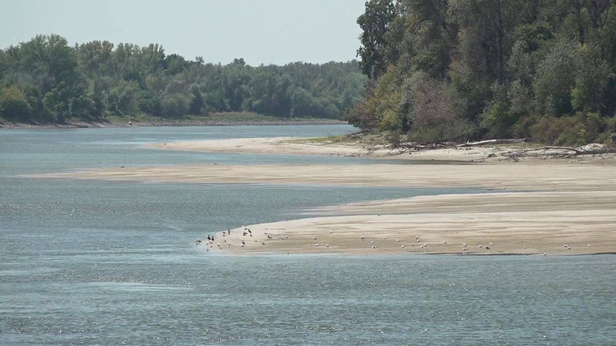 Most van baj, Magyarország nem bírja tovább táplálni: kiszáradhat a Duna-Tisza- csatornarendszer a szomszédban – „Több mint 100 éve nem volt ilyen súlyos a helyzet!" 