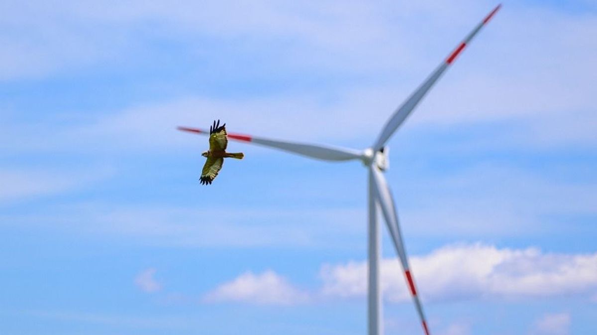A szemünk előtt jön létre egy energetikai óriás Magyarországon – hacsak a Tisza-kormány meg nem fúrja 
