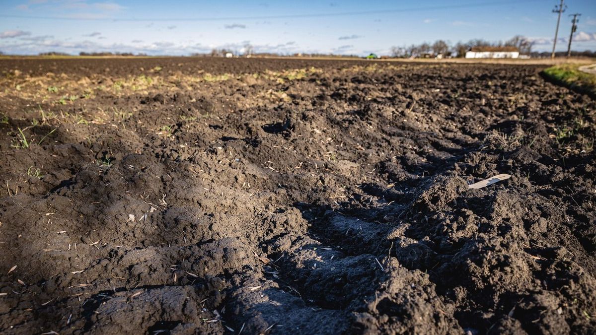Idegen gép a termőföldön: így védekezhet a gazdálkodó a birtoksértés ellen 
