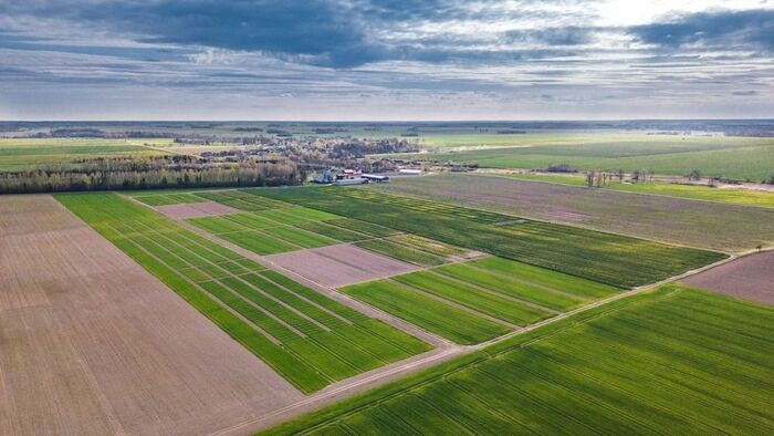 Súlyos élelmiszerválság fenyeget: döbbenetesen lemaradt Európa a tervektől, Magyarországnak is van oka az aggodalomra