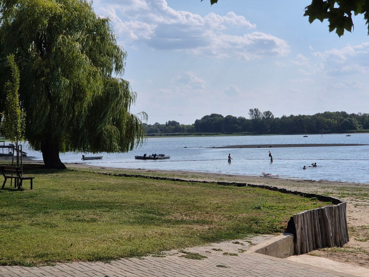 Erre senki se figyelt: a szemünk láttára szárad ki egy 200 hektáros magyar tó, miközben a Dunáért és a Balatonért aggódik mindenki – "Hová lesz 10 millió köbméter felszín alatti víz?"