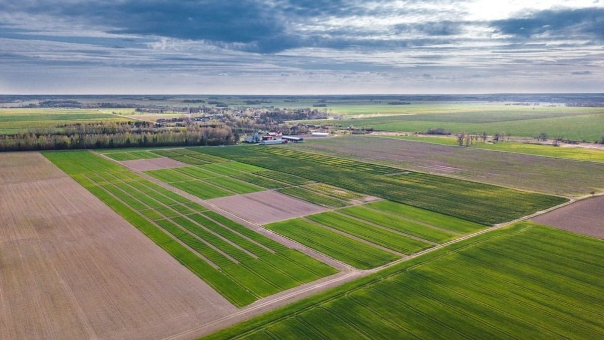 Súlyos élelmiszerválság fenyeget: döbbenetesen lemaradt Európa a tervektől, Magyarországnak is van oka az aggodalomra 