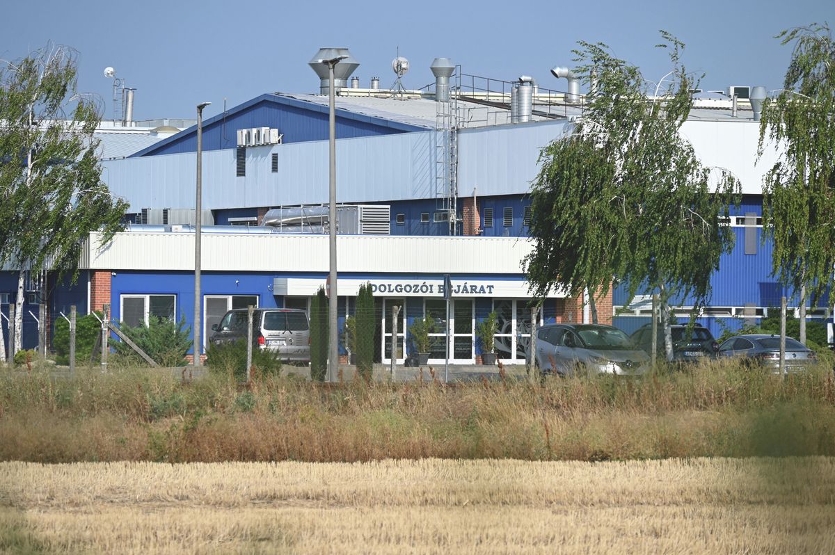 Accel Hunland, Tószeg,