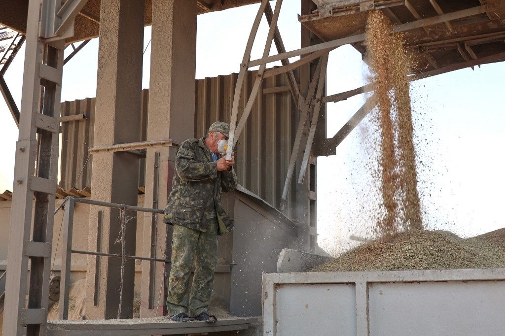 Harvest in Kharkiv region