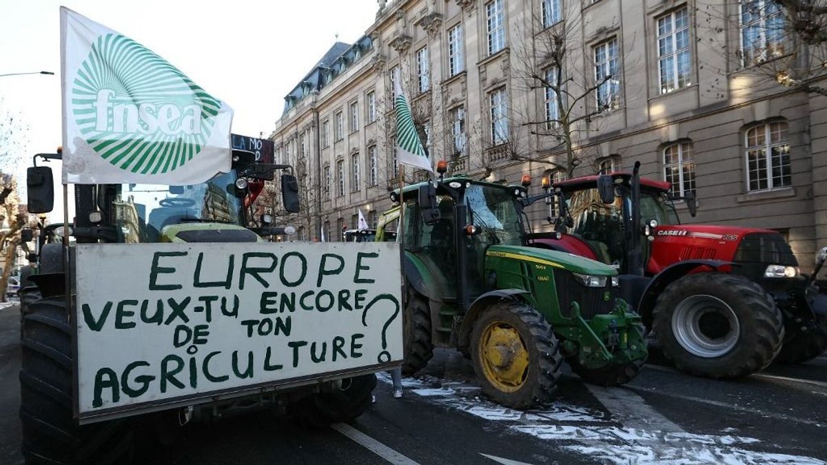 Válaszút előtt az uniós agrárpolitika: a gazdák szerint Brüsszel éppen a válság közepén gyengítené meg a KAP-ot 
