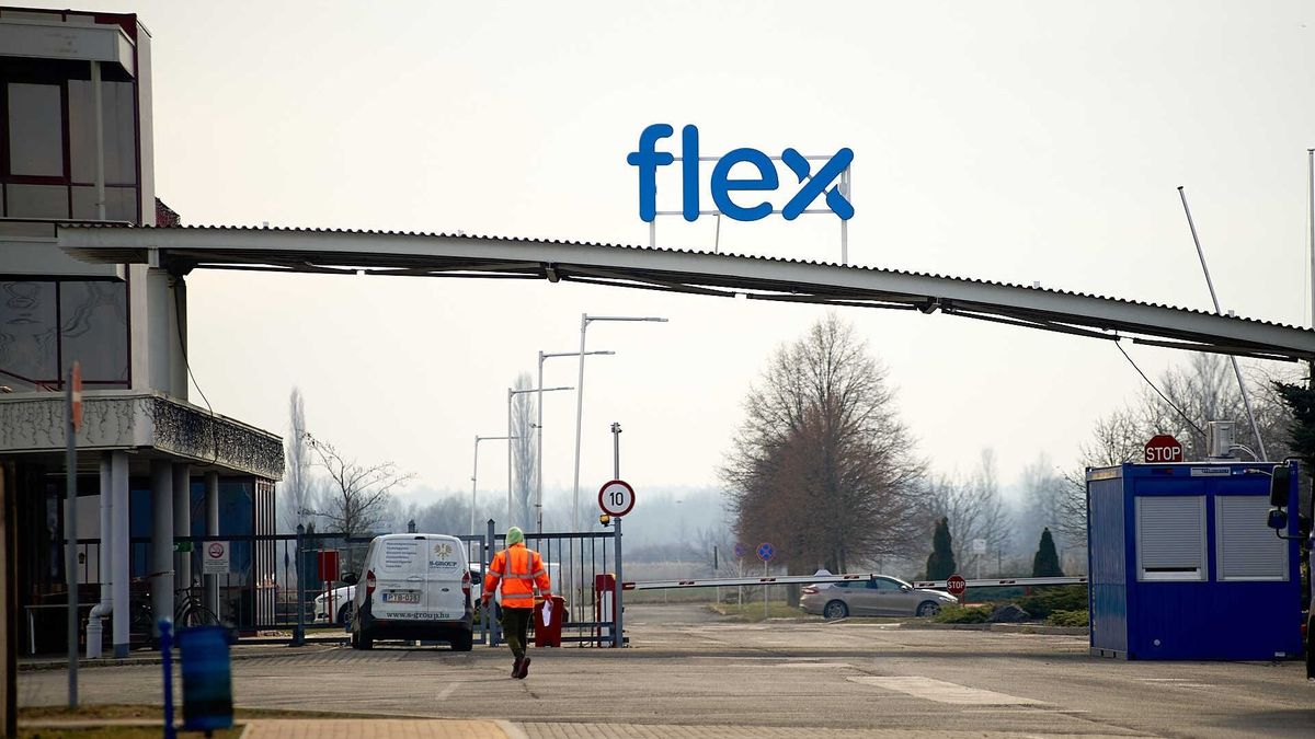 Flex, amerikai gyár sárvár