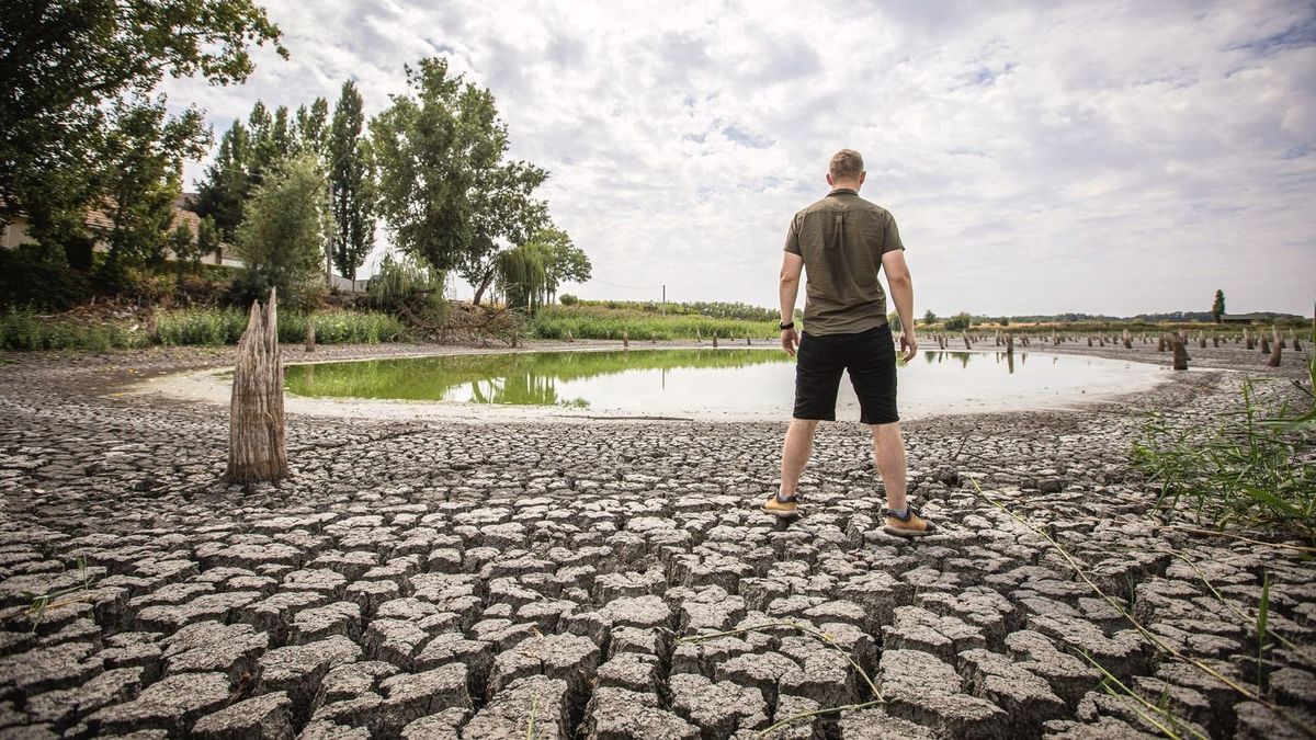 Az unióban sem állt a gazdák mellé a Tisza Párt – hiába az agrárválság, nem emelik a segélyalapot 