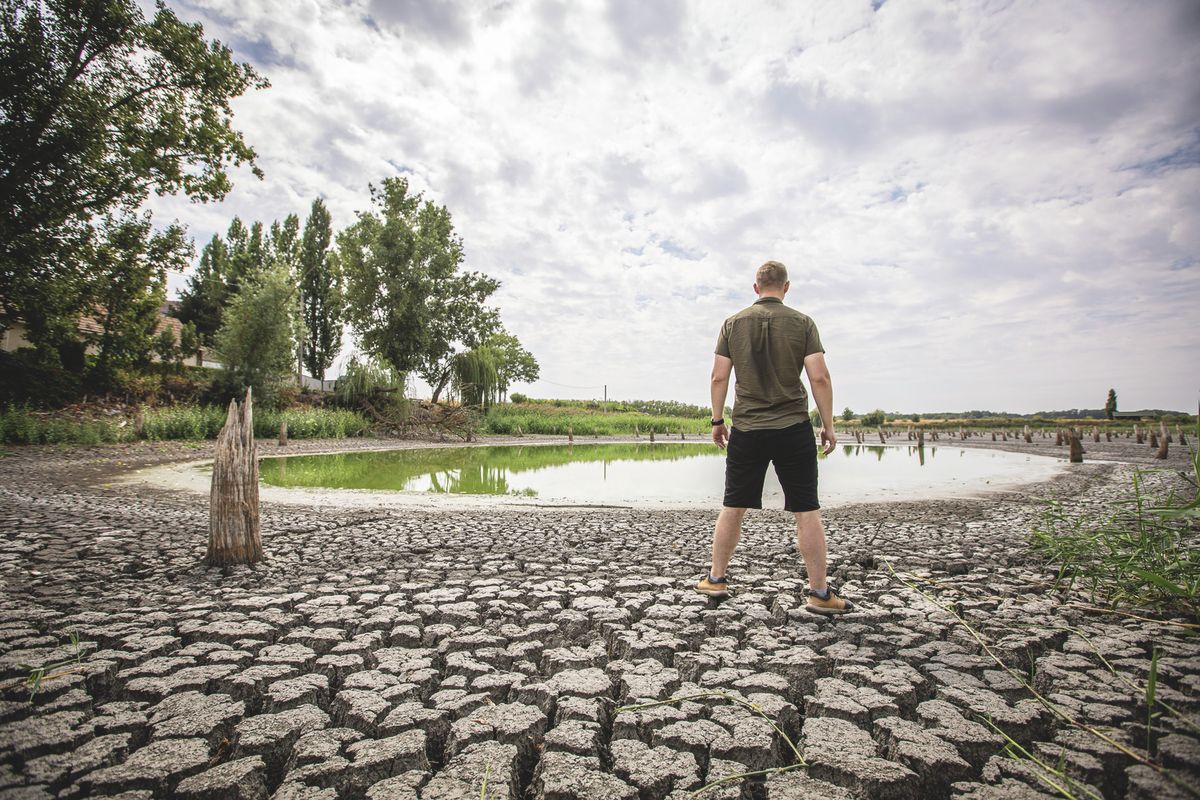 aszály, hőség, agrárválság, gazdák támogatása, válságalap