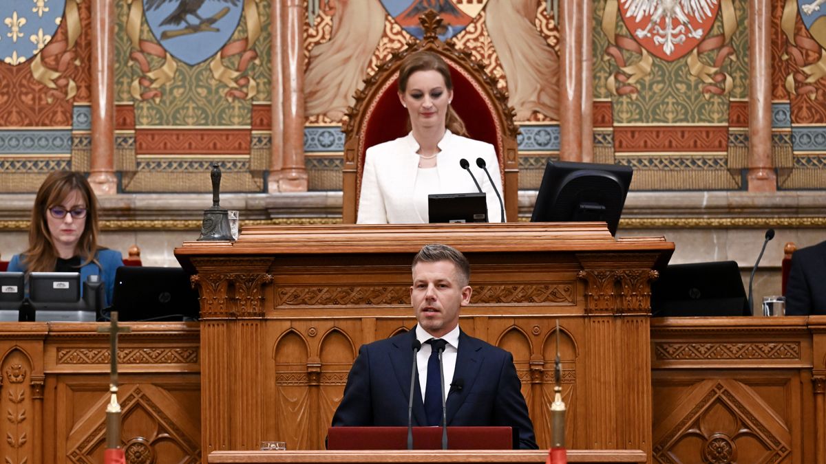 MAGYAR Péter, megyei közgyűlések