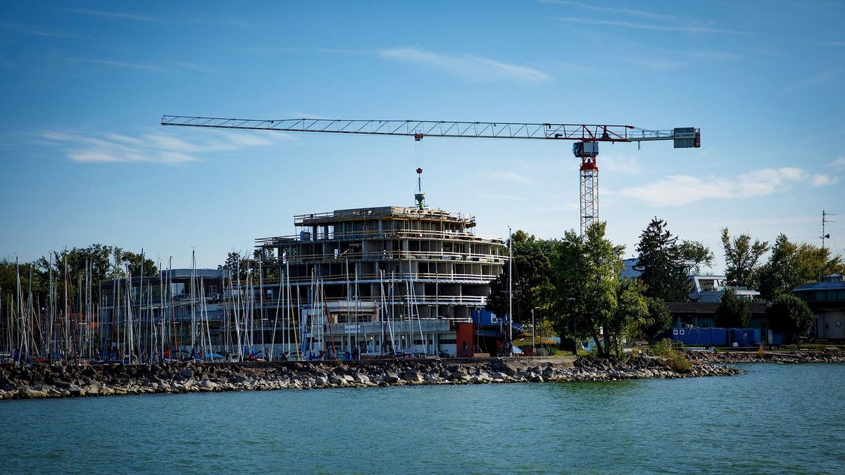 Pont azt a részét verték szét a megalomán építkezésekkel a Balatonnak, ami a legfontosabb az élővilágnak: most még van esély megmenteni, de kompromisszumot kell kötni a természettel