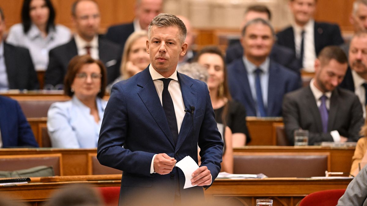 Rendkívüli bejelentést tett Magyar Péter: előállította az ügyészség Magyarország egyik leggazdagabb emberét, a Magyar Nemzeti Vagyonkezelő volt vezérét is elvitték – „Folytatjuk, köszönöm szépen” 