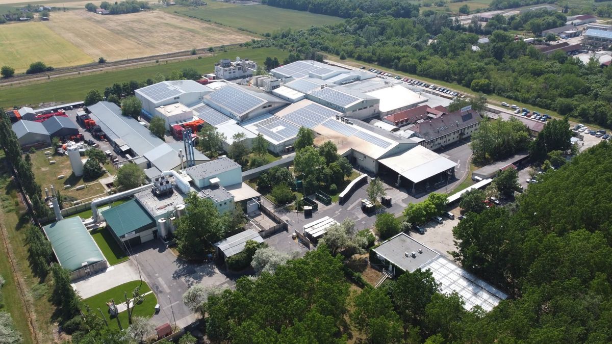 új gyár, Gallicoop, Szarvas