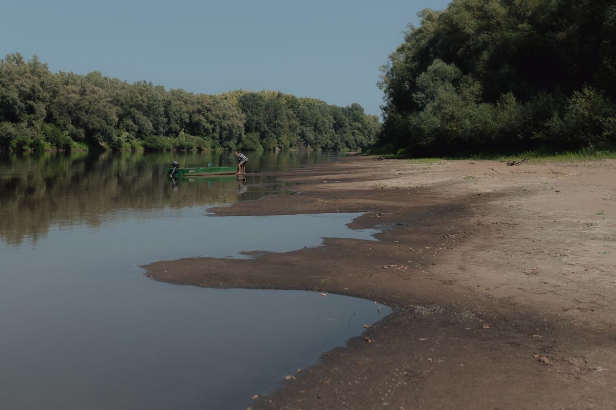 Tisza, folyó, száraszság
