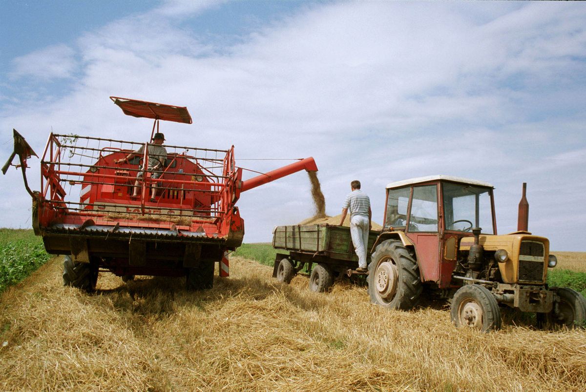 POLISH AGRICULTURE