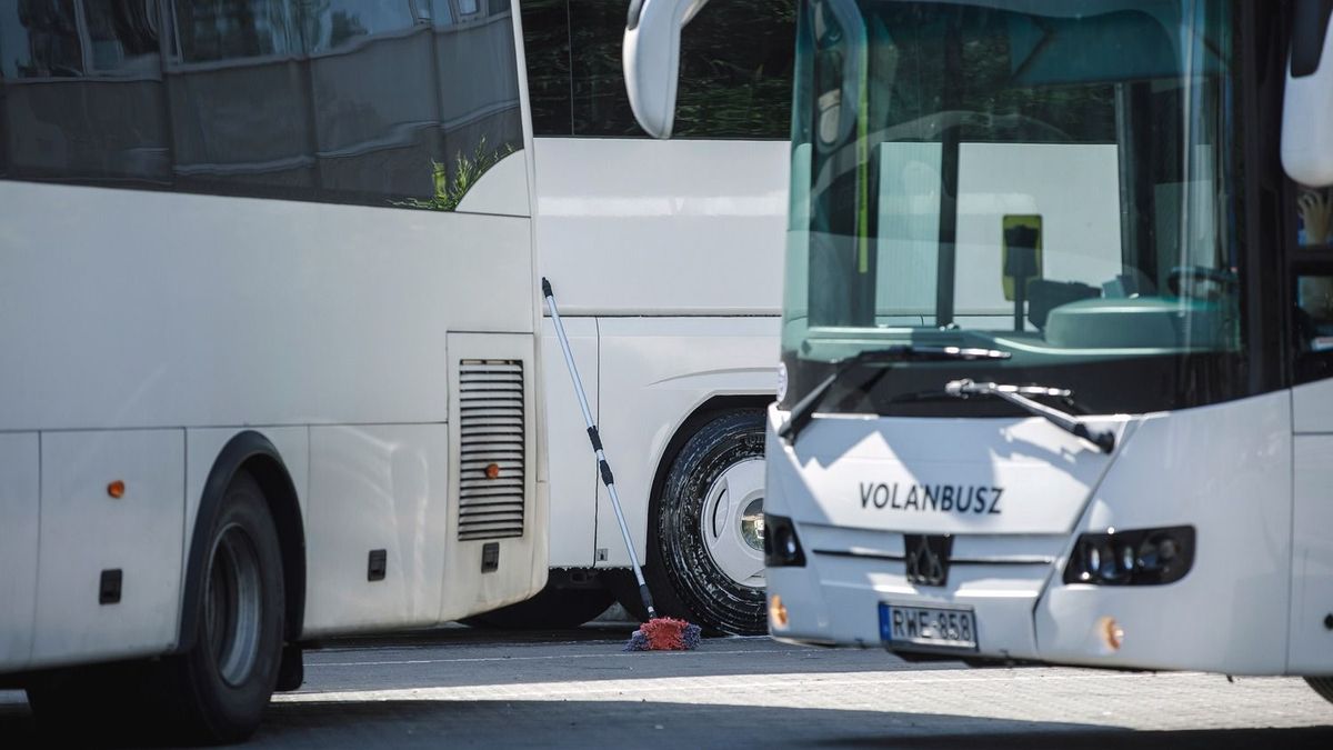 MÁV: több mint 10 milliárd forintos vagyoni hátrány érhette a Volánbuszt és jogelődjét