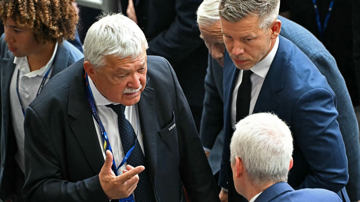 Magyar Péter, Csányi Sándor vagyon