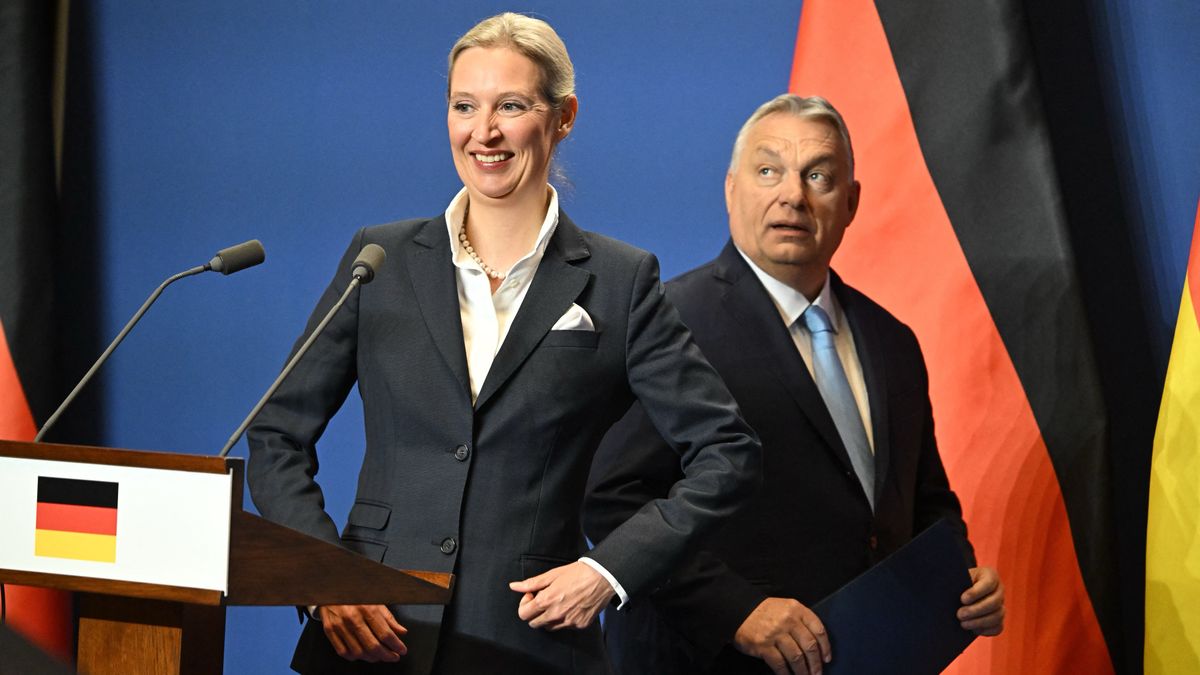 Orbán Viktor, Weidel, Afd