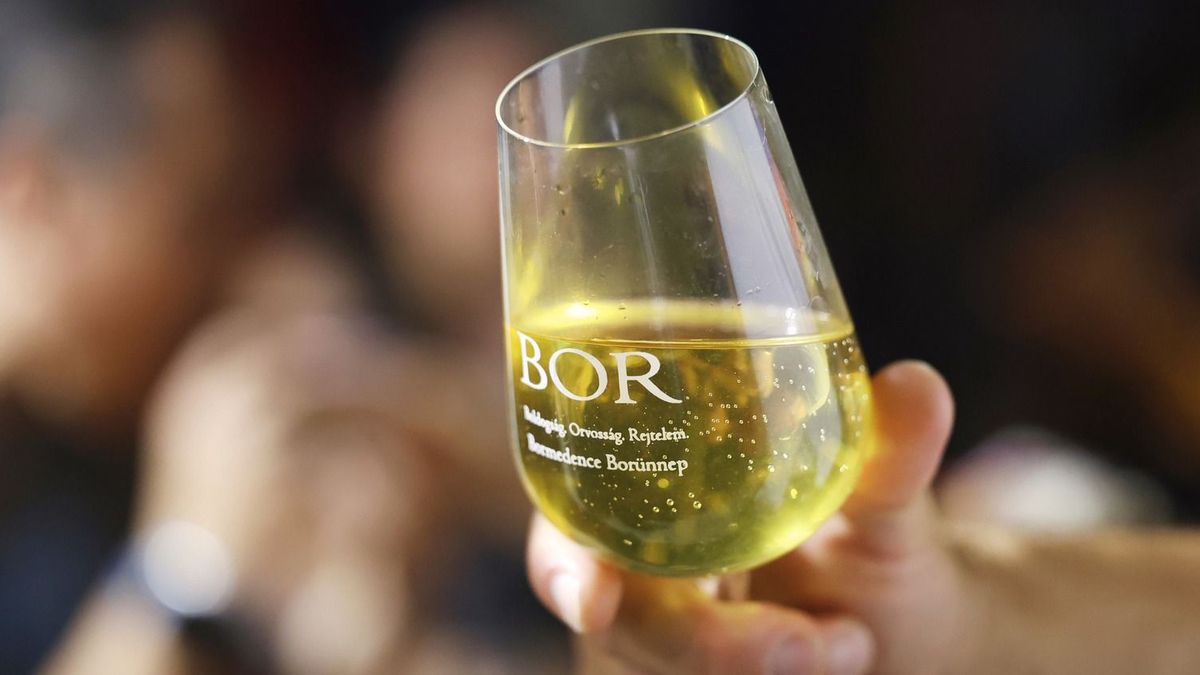 Keserű kijózanodás a magyar borpiacon: egyre kevesebb megy külföldre – közel ötmilliárd forint tűnt el az exportbevételből 