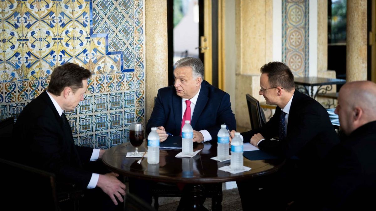 Egyszerre üzent Orbán Viktor és Elon Musk a németeknek az AfD történelmi választási győzelme után: rögtön óriási üzleti lehetőség került az asztalra – "Ez még csak a kezdet" 