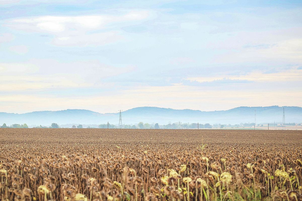 Copa-Cogeca, agrárválság, aszály, KAP