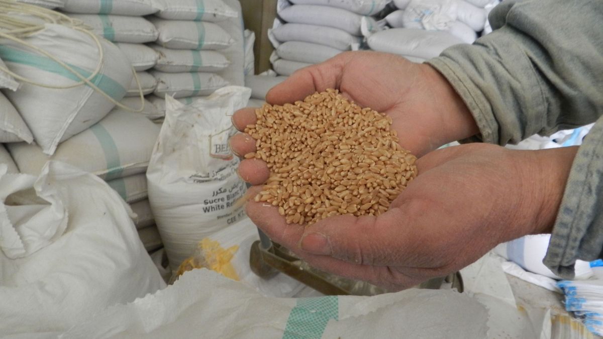 orosz,LEBANON-BEIRUT-WHEAT-RUSSIA-UKRAINE CONFLICT-IMPACT