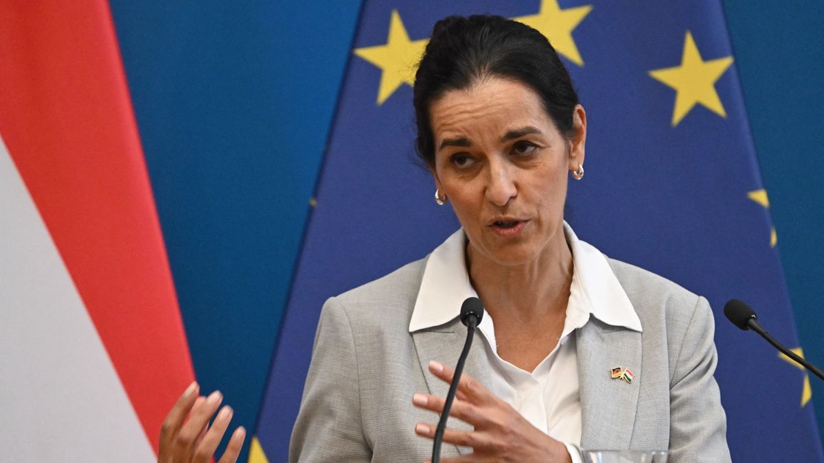 Orbán Anita bemutatta, melyik országot vennék fel az Európai Unióba, nem Ukrajna az: Magyar Péter már a múlt héten az államfőjükkel tárgyalt – "Folyatjuk"