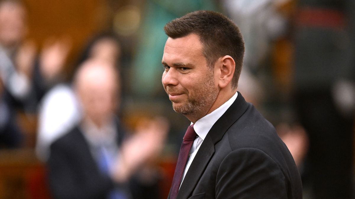 Vitézy Dávid, útfelújítás