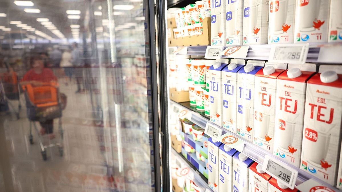 Valósággal ömlik az import tej Magyarországra: válságban a magyar tejágazat – a kisebb gazdaságok közül már többen feladták
