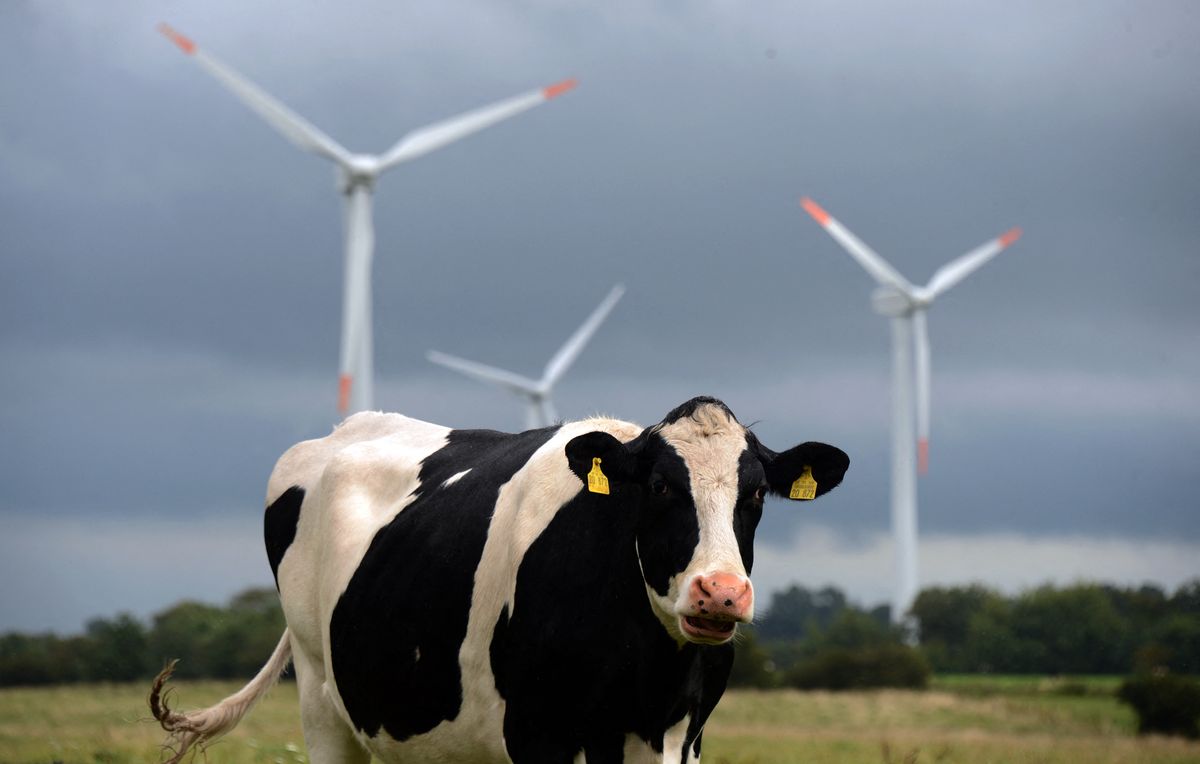 szélenergia, szélturbina, széltorony