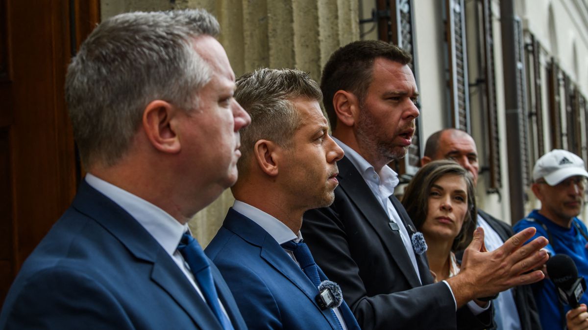 Vitézy Dávid, Magyar Péter uniós