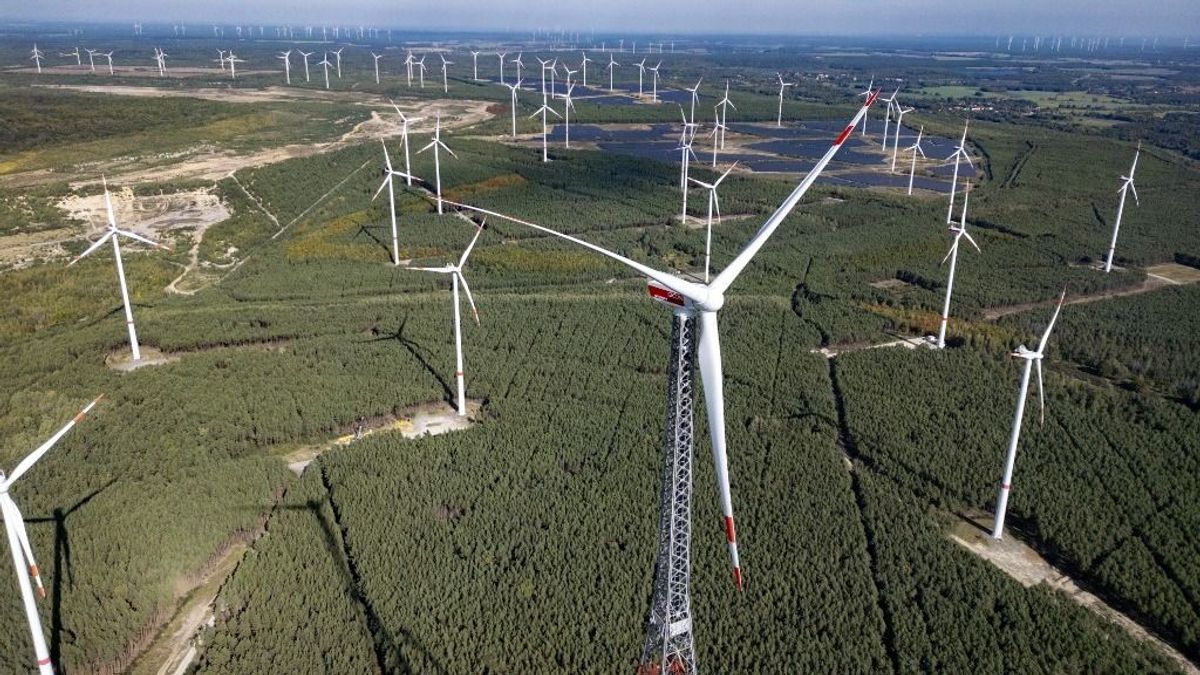 Ez még talán Kapitány Istvánt is meghökkenti, a gazdák már jól megijedtek tőle: a szélerőművek újabb váratlan hatására derült fény