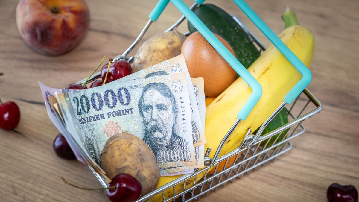 Lemondóan magyarázzák a boltok a bizonyítványt: a magyarokon már az árrésstop sem segít