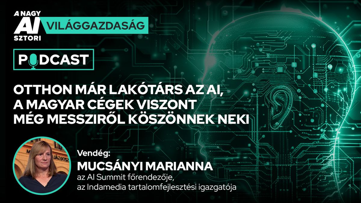 A nagy AI-sztori: otthon már szinte mindenki használt AI-t, de a magyar vállalkozásoknak még csak kis része használja