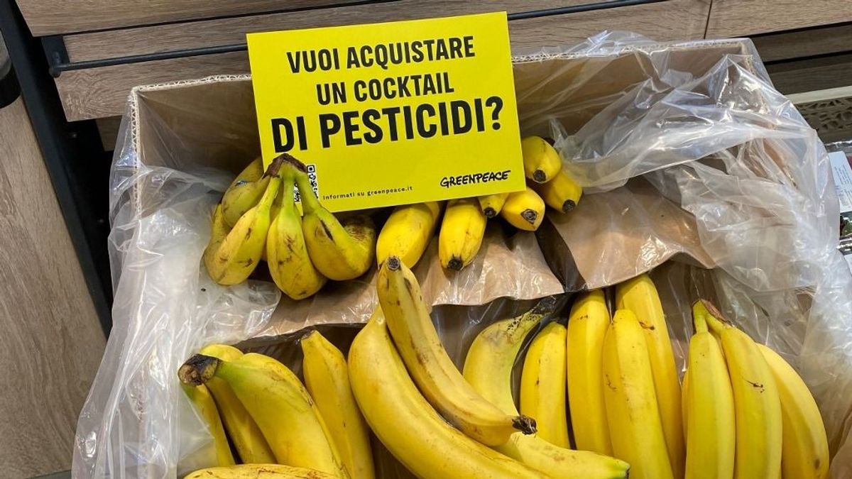 Kiskaput zárna be az unió: ami tilos a közösségen belül termelő gazdáknak, az importban sem jöhet