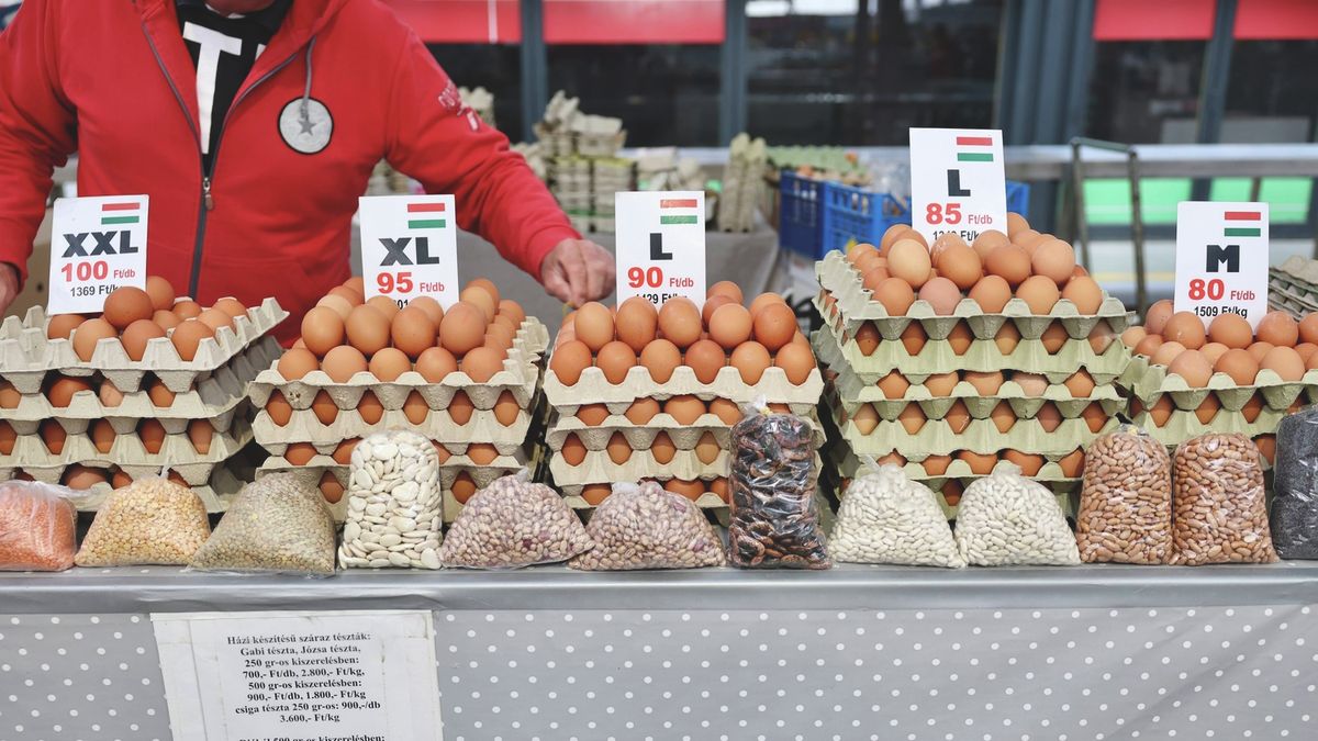 Elárasztja az importtojás Európát: a törökök robbantottak piacot, a magyar termelők is megérezhetik