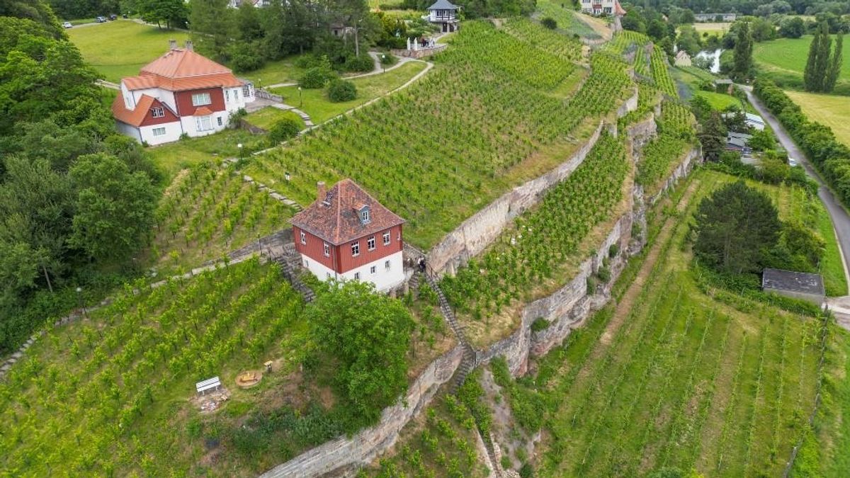A történelem legnagyobb lopása: harmincezer üveg méregdrága toszkán bort emeltek el, "a borászatnál sírtak az emberek"
