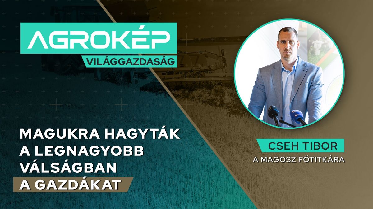 Soha nem látott agrárválság Magyarországon: már a nagy gazdaságok tartalékai is elfogytak – tömegesen hagyhatnak fel a gazdálkodással